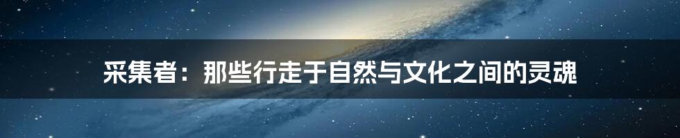 采集者:那些行走于自然与文化之间的灵魂