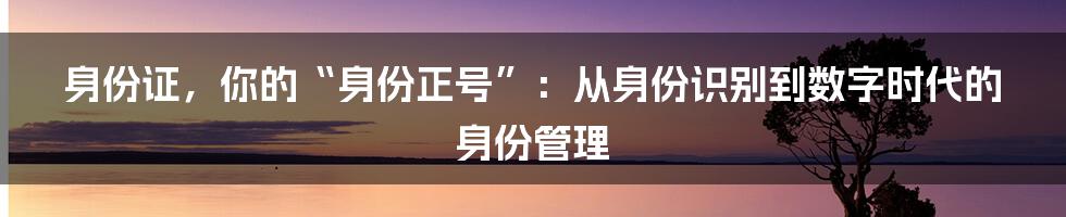 身份证,你的“身份正号”:从身份识别到数字时代的身份管理