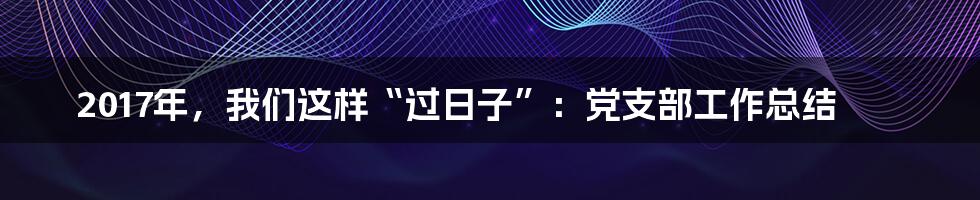 2017年,我们这样“过日子”:党支部工作总结