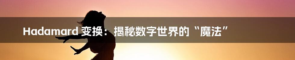 Hadamard 变换:揭秘数字世界的“魔法”