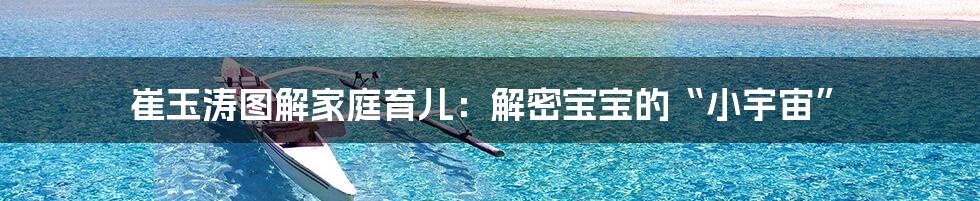 崔玉涛图解家庭育儿:解密宝宝的“小宇宙”