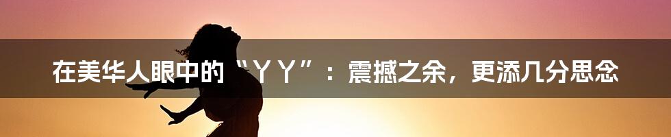 在美华人眼中的“丫丫”:震撼之余,更添几分思念