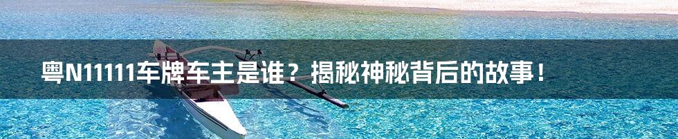 粤N11111车牌车主是谁?揭秘神秘背后的故事!