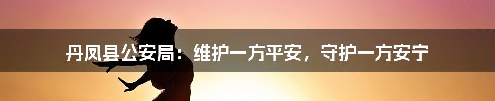 丹凤县公安局:维护一方平安,守护一方安宁