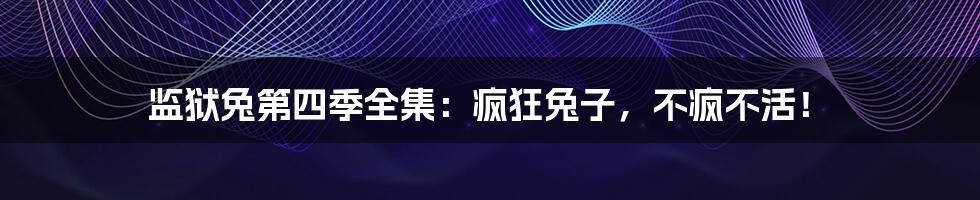 监狱兔第四季全集:疯狂兔子,不疯不活!