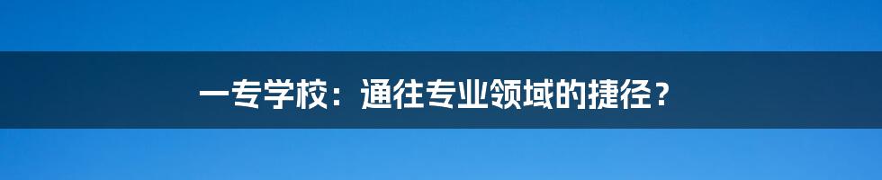 一专学校:通往专业领域的捷径?