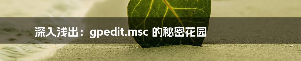 深入浅出:gpedit.msc 的秘密花园