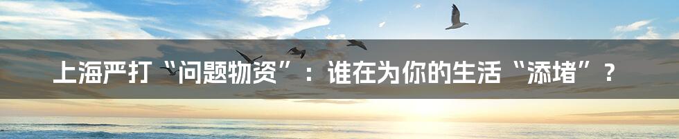 上海严打“问题物资”:谁在为你的生活“添堵”?
