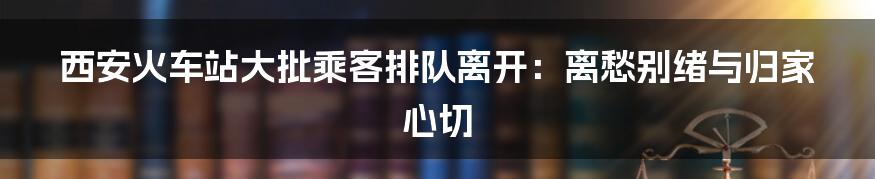 西安火车站大批乘客排队离开:离愁别绪与归家心切