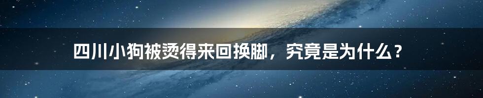 四川小狗被烫得来回换脚,究竟是为什么?
