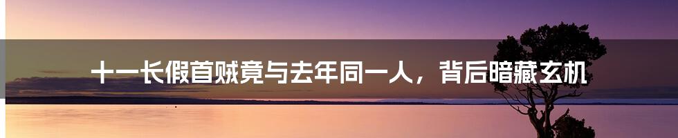 十一长假首贼竟与去年同一人,背后暗藏玄机