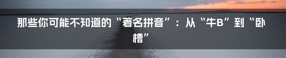 那些你可能不知道的“著名拼音”:从“牛B”到“卧槽”