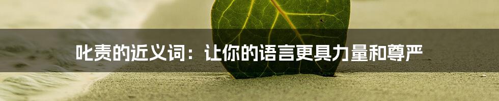 叱责的近义词:让你的语言更具力量和尊严