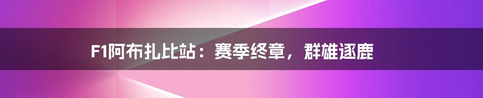 F1阿布扎比站:赛季终章,群雄逐鹿