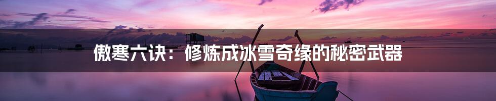 傲寒六诀:修炼成冰雪奇缘的秘密武器