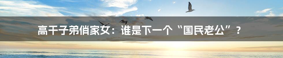 高干子弟俏家女:谁是下一个“国民老公”?