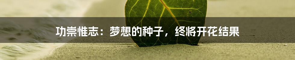 功崇惟志:梦想的种子,终将开花结果