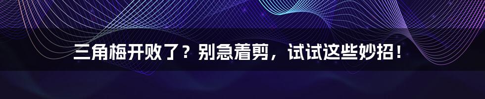 三角梅开败了?别急着剪,试试这些妙招!