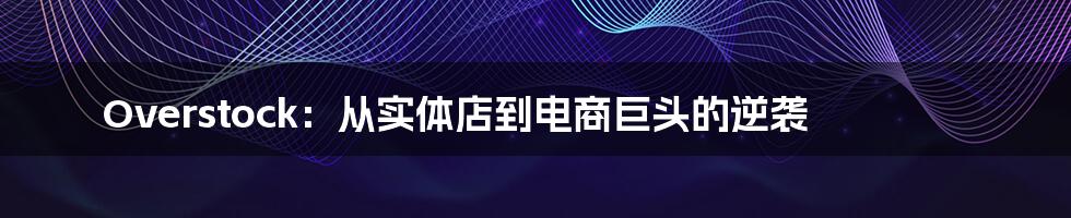Overstock:从实体店到电商巨头的逆袭
