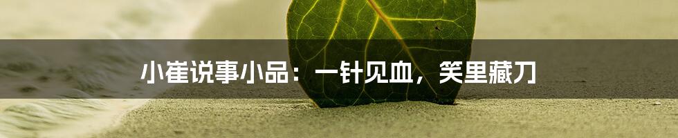 小崔说事小品:一针见血,笑里藏刀