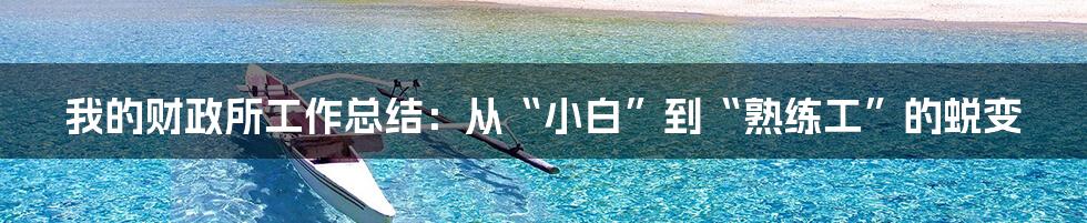 我的财政所工作总结:从“小白”到“熟练工”的蜕变