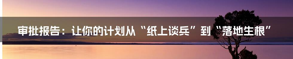 审批报告：让你的计划从“纸上谈兵”到“落地生根”