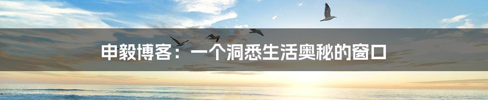 申毅博客:一个洞悉生活奥秘的窗口