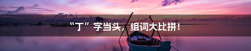 “丁”字当头,组词大比拼!