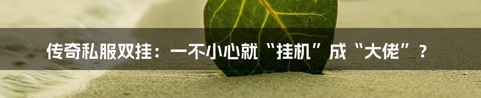 传奇私服双挂:一不小心就“挂机”成“大佬”?