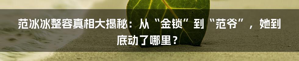 范冰冰整容真相大揭秘：从“金锁”到“范爷”，她到底动了哪里？
