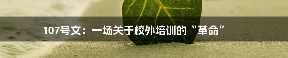 107号文:一场关于校外培训的“革命”