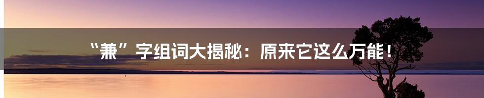 “兼”字组词大揭秘：原来它这么万能！