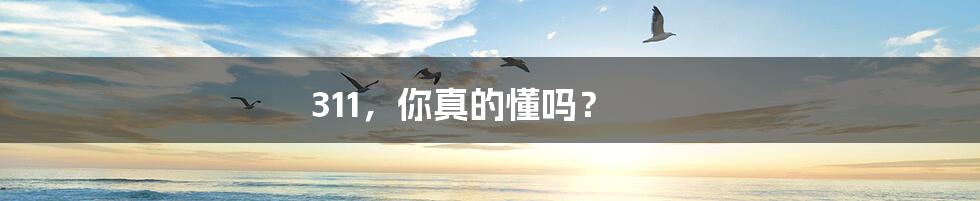 311，你真的懂吗？