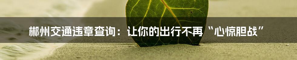 郴州交通违章查询:让你的出行不再“心惊胆战”