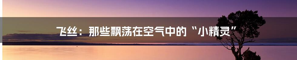 飞丝:那些飘荡在空气中的“小精灵”
