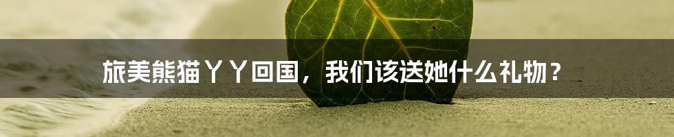 旅美熊猫丫丫回国,我们该送她什么礼物?