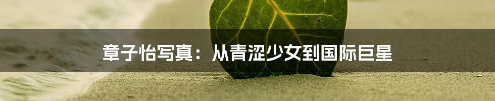 章子怡写真:从青涩少女到国际巨星