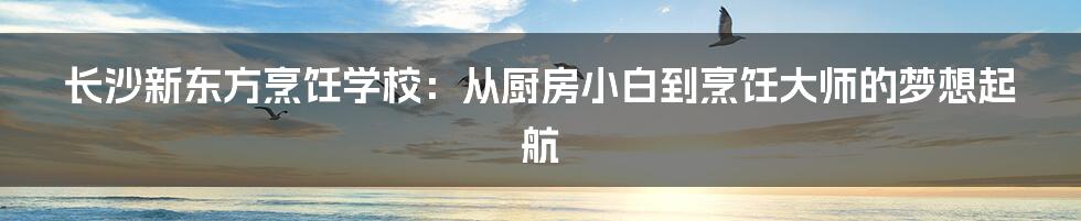 长沙新东方烹饪学校:从厨房小白到烹饪大师的梦想起航