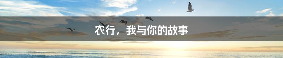 农行,我与你的故事