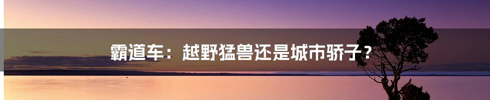 霸道车:越野猛兽还是城市骄子?