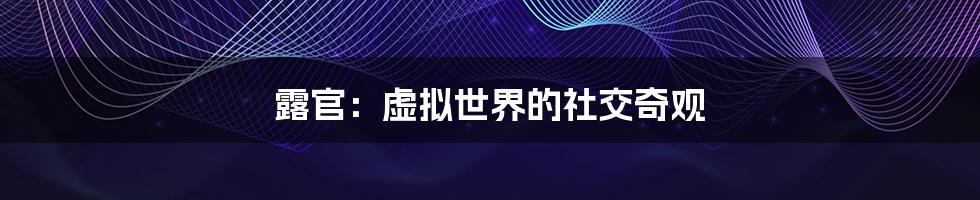 露官:虚拟世界的社交奇观