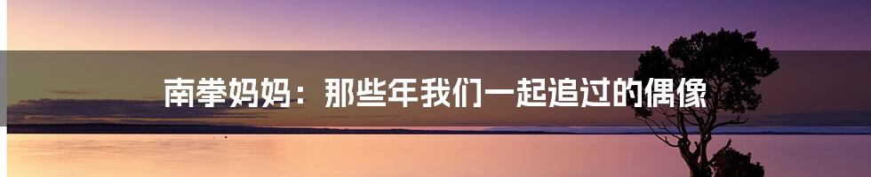 南拳妈妈:那些年我们一起追过的偶像