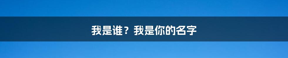 我是谁?我是你的名字
