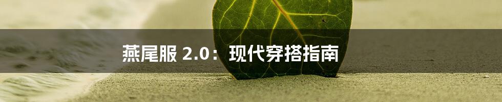 燕尾服 2.0:现代穿搭指南