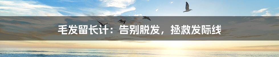 毛发留长计:告别脱发,拯救发际线