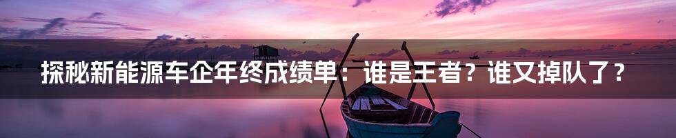 探秘新能源车企年终成绩单:谁是王者?谁又掉队了?