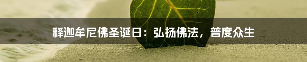 释迦牟尼佛圣诞日:弘扬佛法,普度众生