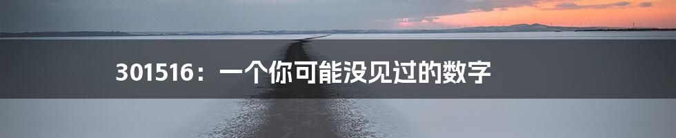 301516:一个你可能没见过的数字