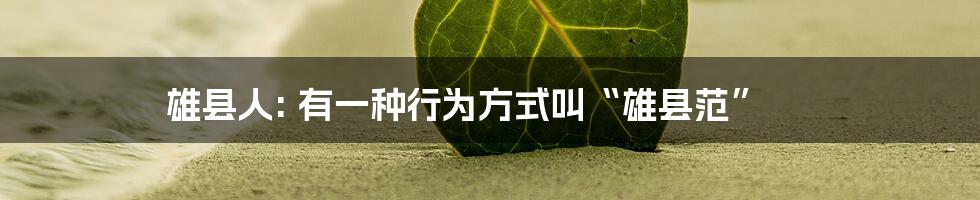 雄县人: 有一种行为方式叫“雄县范”