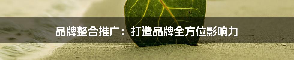 品牌整合推广:打造品牌全方位影响力